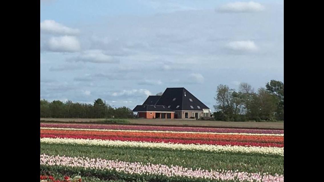 Boerderij De Waard Bed and Breakfast Anna Paulowna Exteriör bild